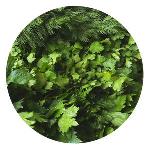 Ginseng Extract – 75mg